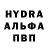 ГАШ гарик ralph high