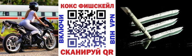 Купить где  Шуя  COCAIN FishScale 