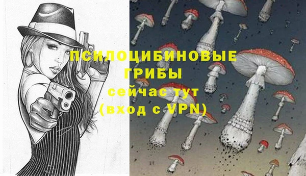 амф Вязьма